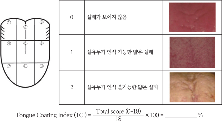 2024년 학회지 연구 도표